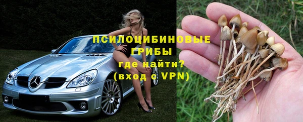 твердый Кукмор