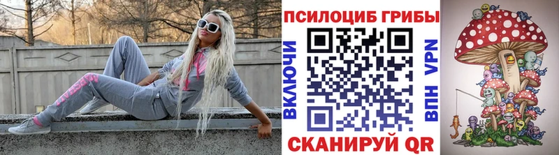 Псилоцибиновые грибы Magic Shrooms  Купить закладки  Чехов 